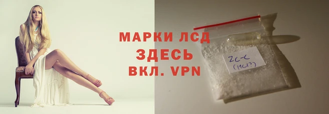 бошки Алзамай