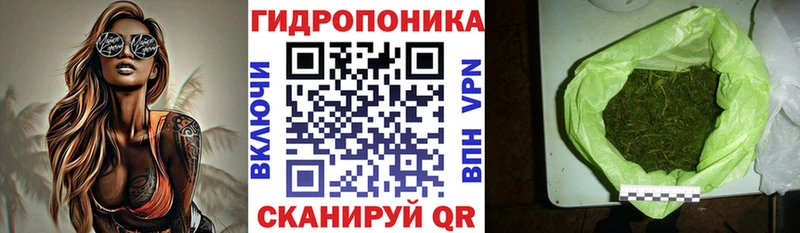 Каннабис ГИДРОПОН  наркошоп  Рошаль 